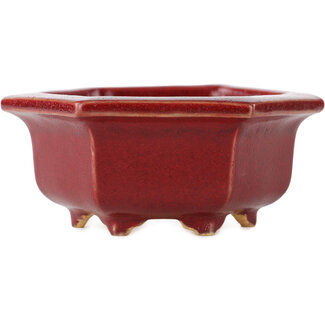 Eimei ( Yozan kiln) Maceta hexagonal roja para bonsái de 105 mm de Eime Yozan, Tokoname, Japón  Eimei ( Yozan kiln) Maceta hexagonal roja para bonsái de 105 mm de Eime Yozan, Tokoname, Japón