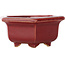 Hexagonal red bonsai pot by Eime Yozan - 105 x 105 x 50 mm
