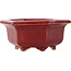 Hexagonal red bonsai pot by Eime Yozan - 105 x 105 x 50 mm