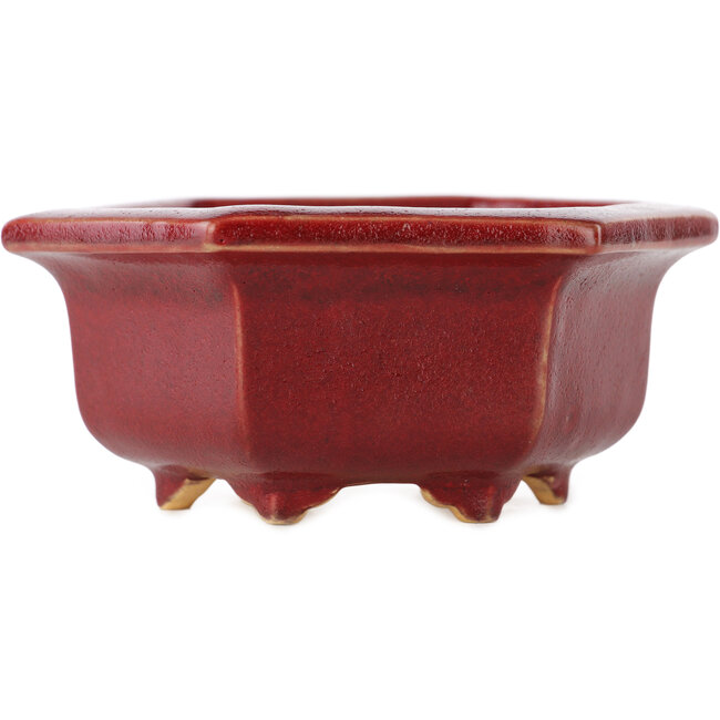 Pot à bonsaï hexagonal rouge par Eime Yozan - 105 x 105 x 50 mm