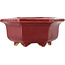 Hexagonal red bonsai pot by Eime Yozan - 105 x 105 x 50 mm