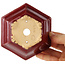 Hexagonal red bonsai pot by Eime Yozan - 107 x 107 x 55 mm