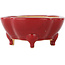 Mokko red bonsai pot by Eime Yozan - 125 x 125 x 55 mm