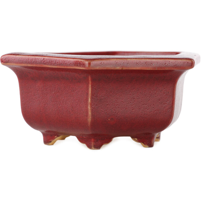 Vaso bonsai esagonale rosso di Eime Yozan - 105 x 105 x 50 mm