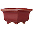 Hexagonal red bonsai pot by Eime Yozan - 105 x 105 x 50 mm