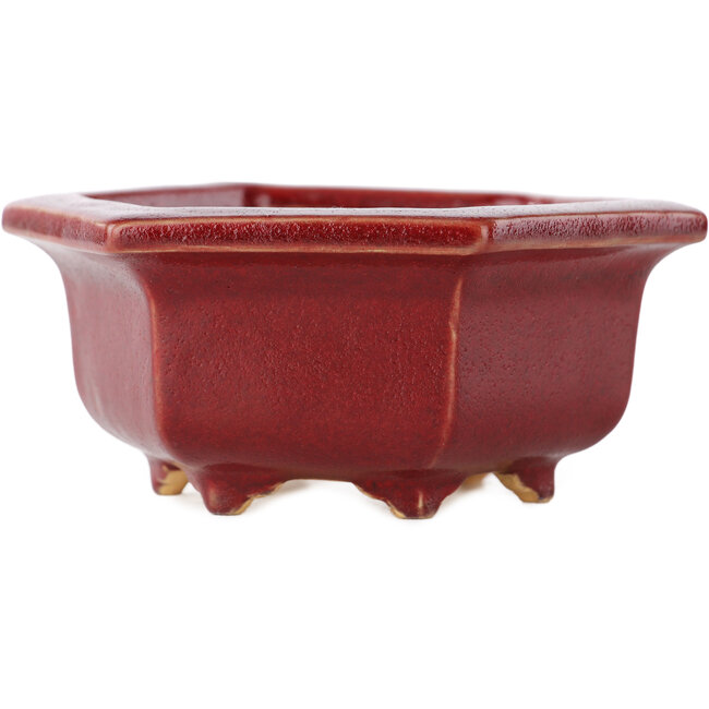 Hexagonal red bonsai pot by Eime Yozan - 105 x 105 x 50 mm