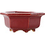 Hexagonal red bonsai pot by Eime Yozan - 105 x 105 x 50 mm