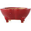 Mokko red bonsai pot by Eime Yozan - 125 x 125 x 55 mm
