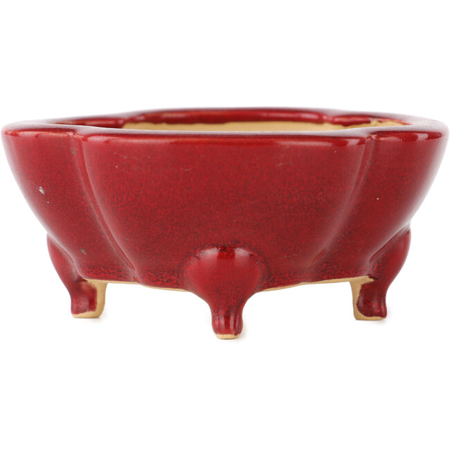 Vaso bonsai rosso Mokko di Eime Yozan - 125 x 125 x 55 mm