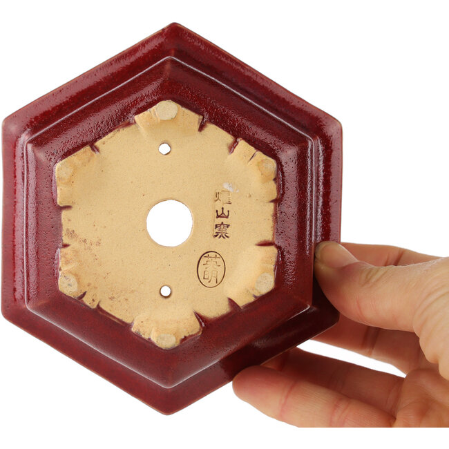 Pot à bonsaï hexagonal rouge par Eime Yozan - 105 x 105 x 50 mm
