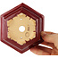 Hexagonal red bonsai pot by Eime Yozan - 105 x 105 x 50 mm