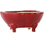 Mokko red bonsai pot by Eime Yozan - 125 x 125 x 55 mm
