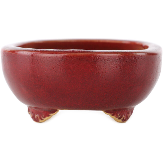 Ovale rode bonsai pot van Eime Yozan - 115 x 95 x 45 mm