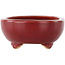 Oval red bonsai pot by Eime Yozan - 115 x 95 x 45 mm