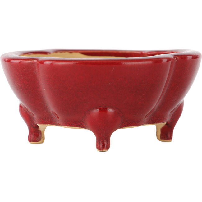 Vaso bonsai rosso Mokko di Eime Yozan - 125 x 125 x 55 mm