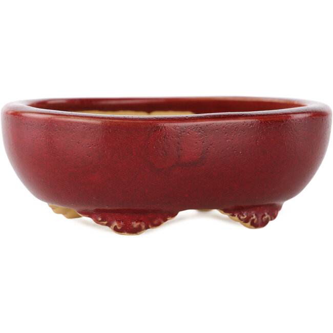Vaso bonsai ovale rosso di Eime Yozan - 115 x 95 x 45 mm