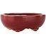 Oval red bonsai pot by Eime Yozan - 115 x 95 x 45 mm