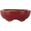 Oval red bonsai pot by Eime Yozan - 115 x 95 x 45 mm