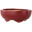 Oval red bonsai pot by Eime Yozan - 115 x 95 x 45 mm