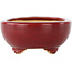 Oval red bonsai pot by Eime Yozan - 115 x 95 x 45 mm