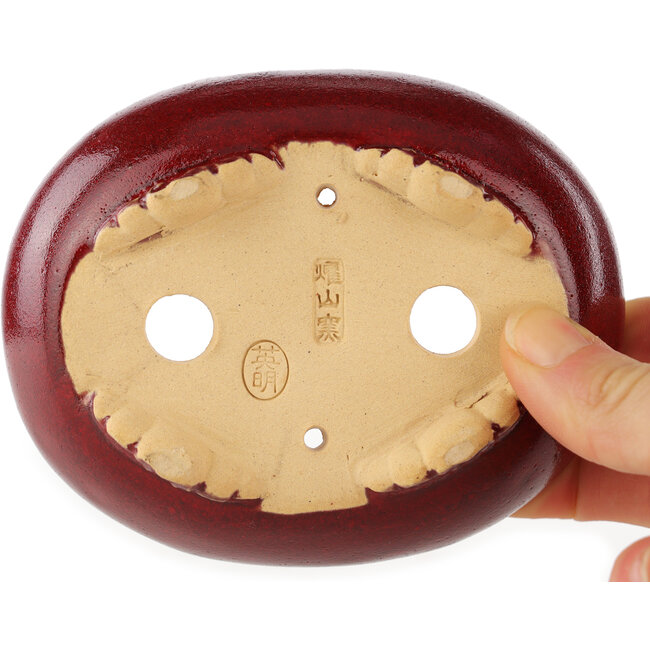 Ovale rode bonsai pot van Eime Yozan - 115 x 95 x 45 mm