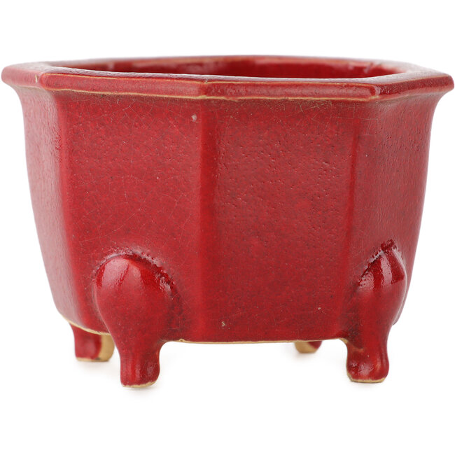 Vaso ottagonale rosso per bonsai di Eime Yozan - 85 x 85 x 60 mm