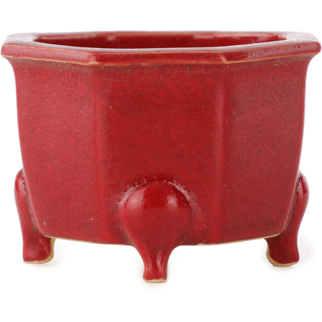 Vaso ottagonale rosso per bonsai di Eime Yozan - 85 x 85 x 60 mm