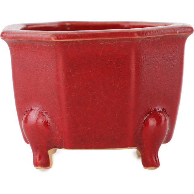Vaso ottagonale rosso per bonsai di Eime Yozan - 85 x 85 x 60 mm