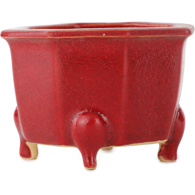 Vaso ottagonale rosso per bonsai di Eime Yozan - 85 x 85 x 60 mm