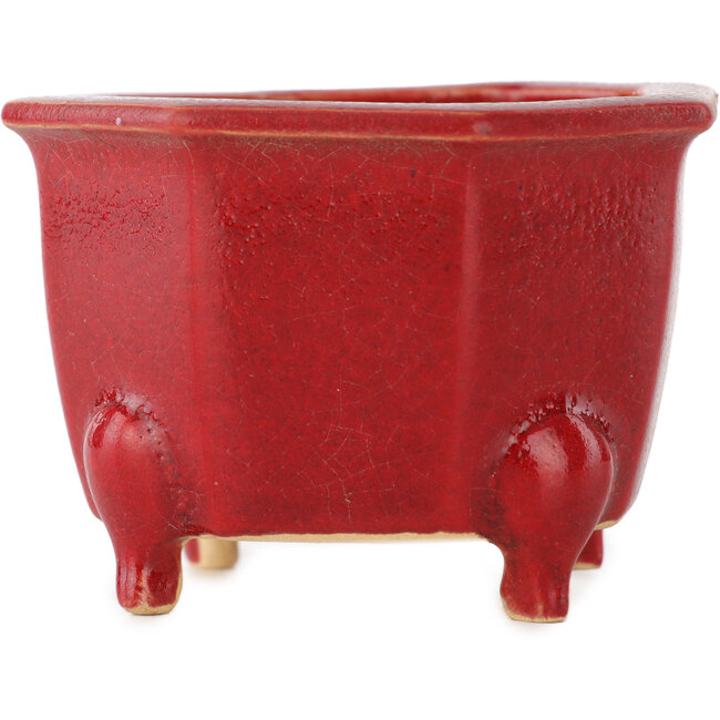 Vaso ottagonale rosso per bonsai di Eime Yozan - 85 x 85 x 60 mm