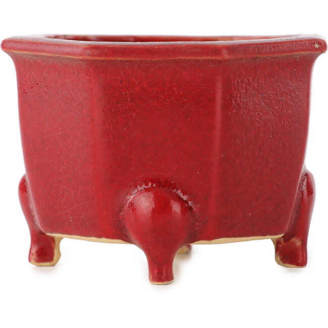 Vaso ottagonale rosso per bonsai di Eime Yozan - 85 x 85 x 60 mm