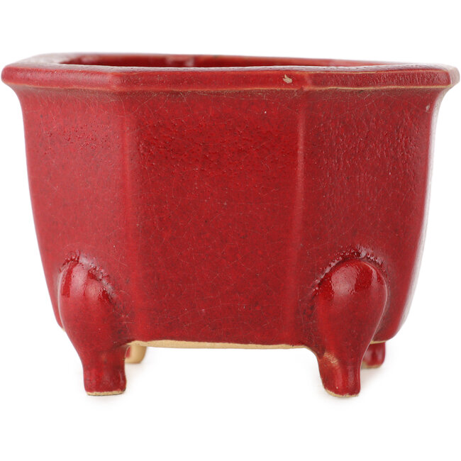 Vaso ottagonale rosso per bonsai di Eime Yozan - 85 x 85 x 60 mm