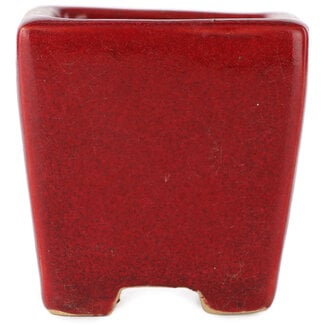  Eimei ( Yozan kiln) 65 mm square red bonsai pot by Eime Yozan, Tokoname, Japan