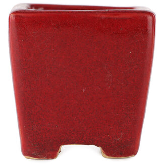 Eimei ( Yozan kiln) Maceta cuadrada roja para bonsái de 65 mm de Eime Yozan, Tokoname, Japón  Eimei ( Yozan kiln) Maceta cuadrada roja para bonsái de 65 mm de Eime Yozan, Tokoname, Japón