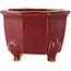 Octagonal red bonsai pot by Eime Yozan - 85 x 85 x 60 mm