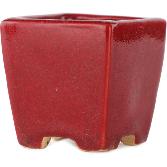 Vaso bonsai quadrato rosso di Eime Yozan - 65 x 65 x 65 mm