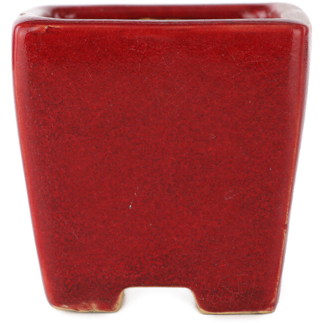 Pot à bonsaï carré rouge par Eime Yozan - 65 x 65 x 65 mm