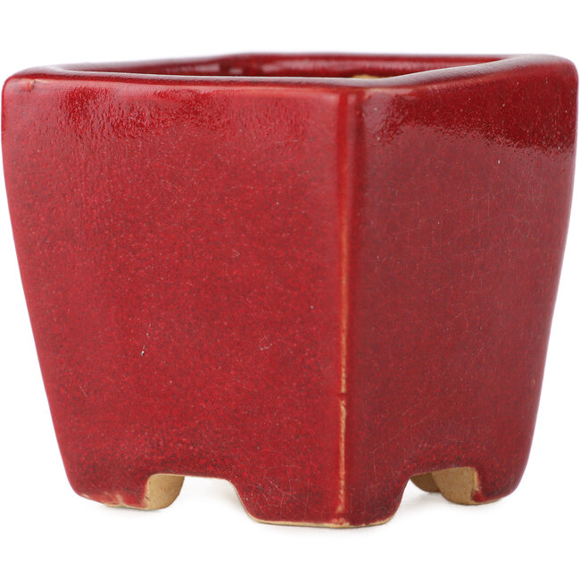 Vaso bonsai quadrato rosso di Eime Yozan - 65 x 65 x 65 mm