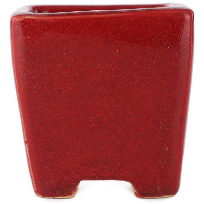 Square red bonsai pot by Eime Yozan - 65 x 65 x 65 mm