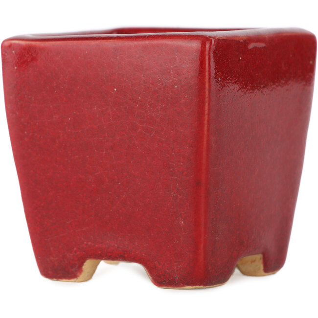 Maceta cuadrada roja para bonsái de Eime Yozan - 65 x 65 x 65 mm