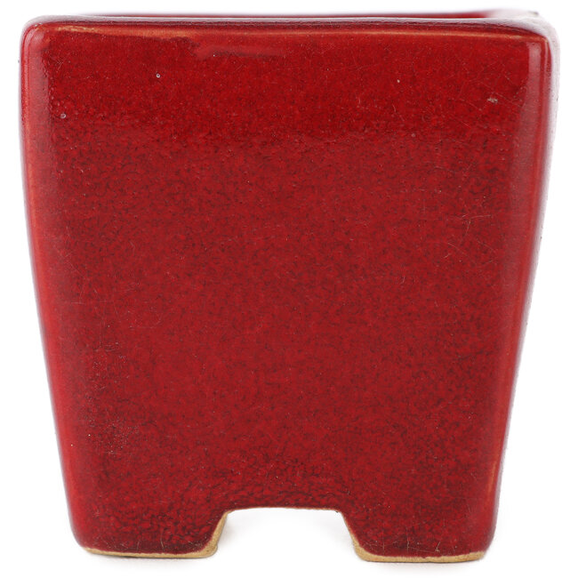 Vaso bonsai quadrato rosso di Eime Yozan - 65 x 65 x 65 mm