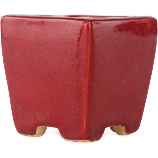 Maceta cuadrada roja para bonsái de Eime Yozan - 65 x 65 x 65 mm