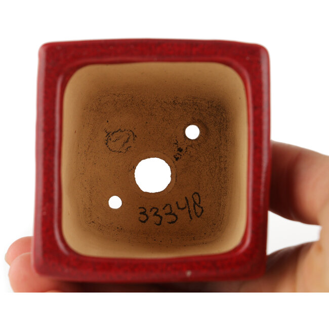 Maceta cuadrada roja para bonsái de Eime Yozan - 65 x 65 x 65 mm