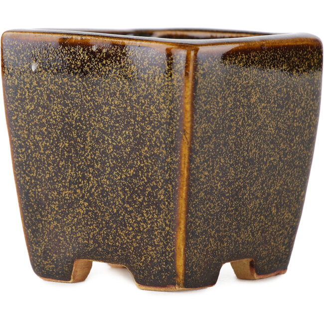 Maceta cuadrada marrón para bonsái de Eime Yozan - 62 x 62 x 62 mm