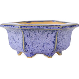  Eimei ( Yozan kiln) Maceta hexagonal violeta para bonsái de 105 mm de Eime Yozan, Tokoname, Japón