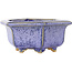 Maceta hexagonal violeta para bonsái de Eime Yozan - 105 x 105 x 50 mm