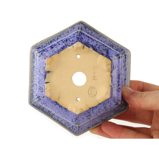Zeshoekige paarse bonsaipot van Eime Yozan - 105 x 105 x 50 mm