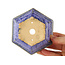 Maceta hexagonal violeta para bonsái de Eime Yozan - 105 x 105 x 50 mm