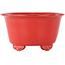Vaso bonsai rotondo rosso di Fuka - 140 x 140 x 70 mm