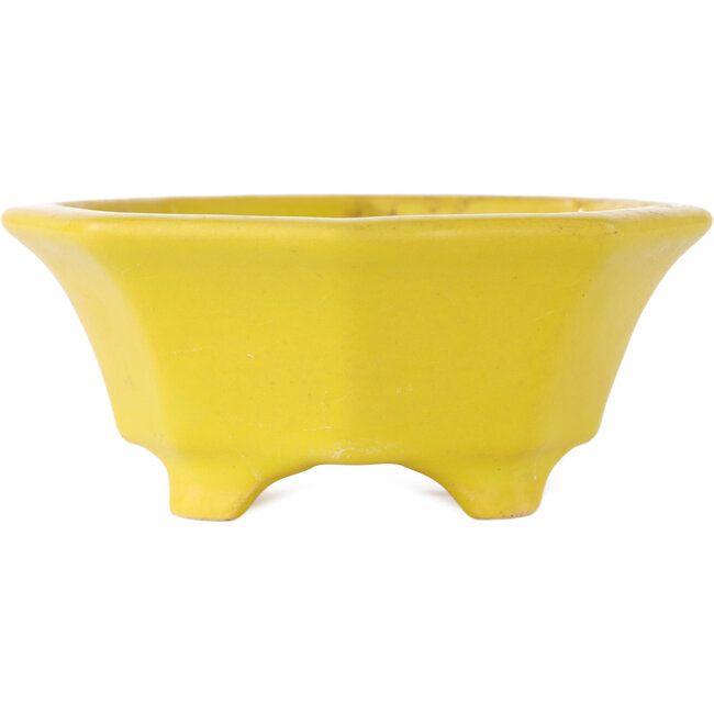 Pot à bonsaï octogonal craquelé jaune de Shozan - 130 x 130 x 55 mm